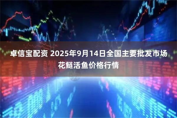 卓信宝配资 2025年9月14日全国主要批发市场花鲢活鱼价格行情