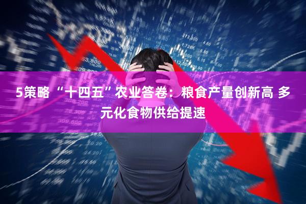 5策略 “十四五”农业答卷：粮食产量创新高 多元化食物供给提速