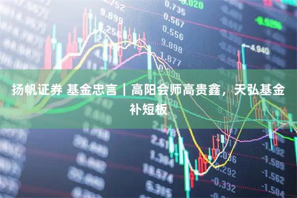 扬帆证券 基金忠言｜高阳会师高贵鑫，天弘基金补短板
