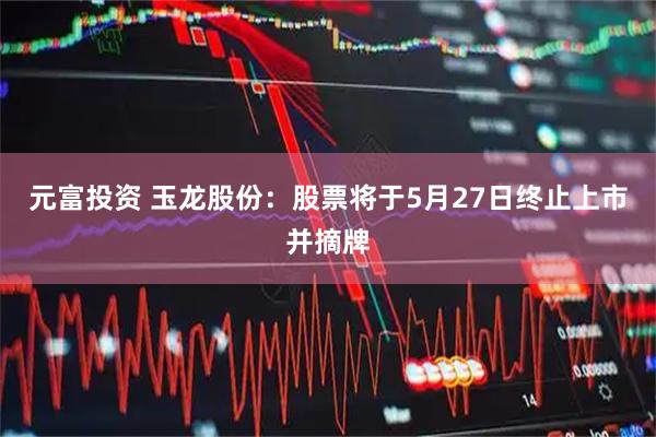 元富投资 玉龙股份：股票将于5月27日终止上市并摘牌