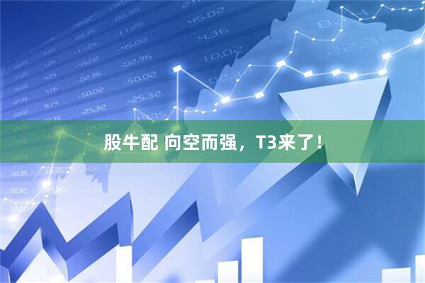 股牛配 向空而强，T3来了！