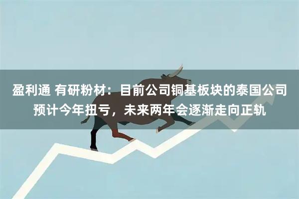 盈利通 有研粉材：目前公司铜基板块的泰国公司预计今年扭亏，未来两年会逐渐走向正轨