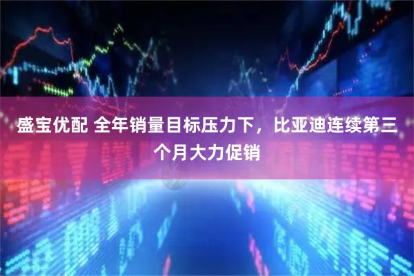 盛宝优配 全年销量目标压力下，比亚迪连续第三个月大力促销