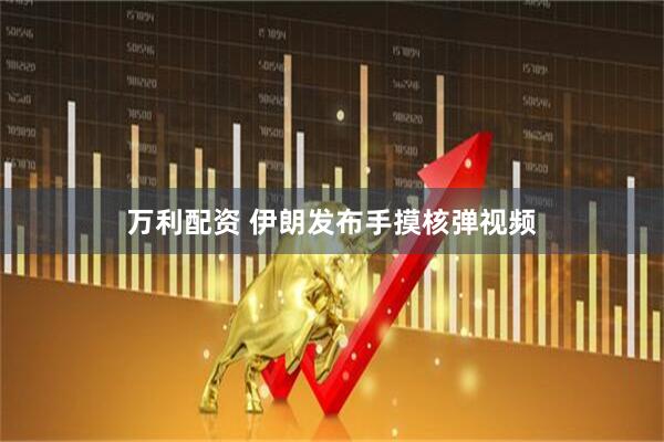 万利配资 伊朗发布手摸核弹视频
