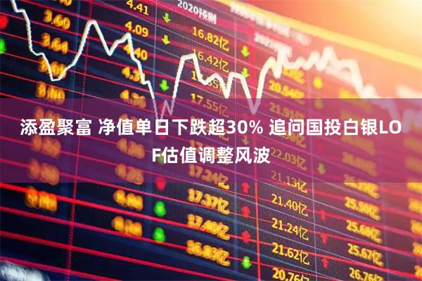 添盈聚富 净值单日下跌超30% 追问国投白银LOF估值调整风波