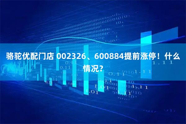 骆驼优配门店 002326、600884提前涨停!什么情况?
