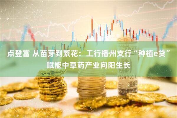 点登富 从苗芽到繁花:工行播州支行“种植e贷”赋能中草药产业向阳生长